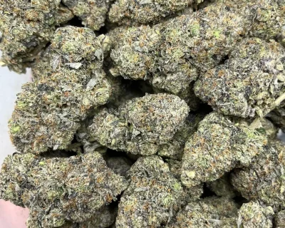 BLACK GAS LSO (EXTREME GAS) - Image 5
